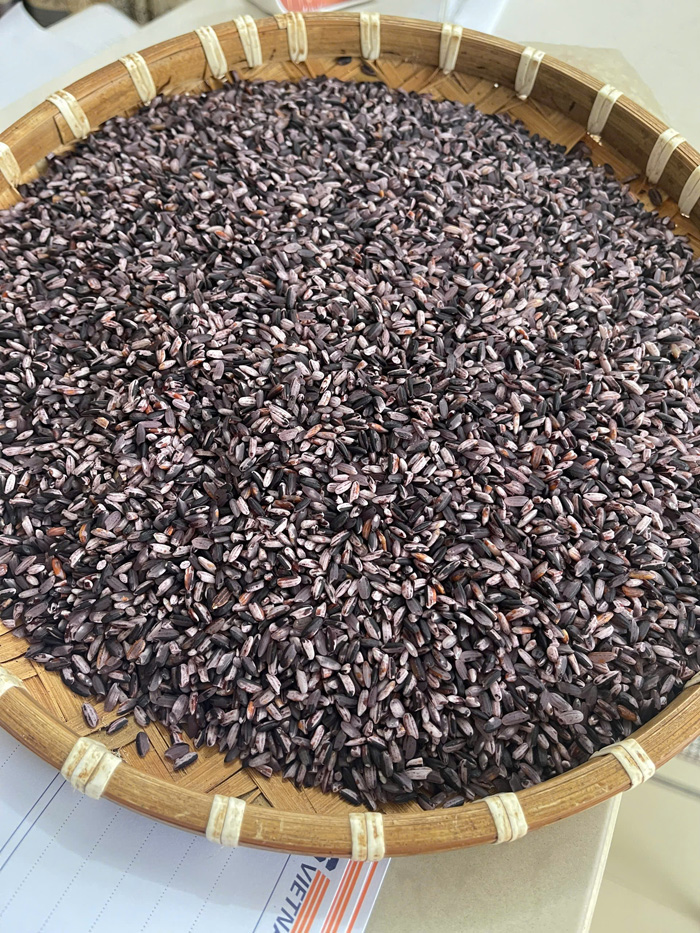Gạo nếp cẩm nương